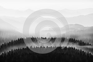 background of nature with trees and mountains silhouette in black and white