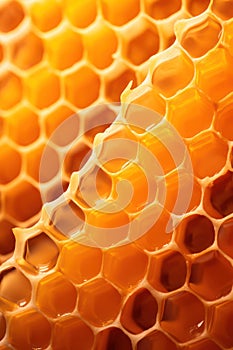 Background nature yellow beehive honeyed pattern sweet texture beeswax food wax bee honeycomb