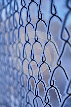 Background, the netting is covered with frost and snow on a frosty winter day