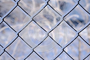 Background, the netting is covered with frost and snow on a frosty winter day