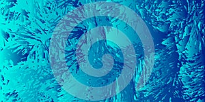 Snowy pine branches in infrared