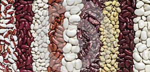 Background of nine varieties of beans