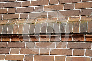 The background is an old brick wall is made of red ceramic bricks.