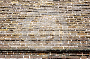 The background is an old brick wall is made of red ceramic bricks.