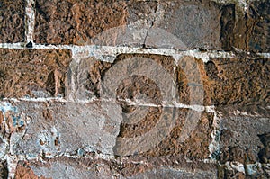 The background is an old brick wall is made of red ceramic bricks.