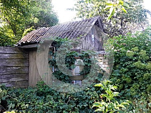 Background. , the old overgrown mysterious house. hut