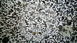 Background of old rusty screws