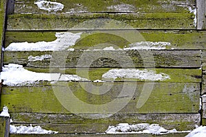 Background, old snow-covered boards covered with moss.