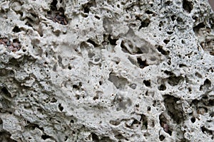 Texture of old limestone stone. photo