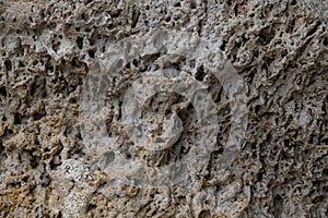 Texture of old limestone stone. photo