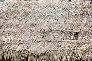 Background of old thatched roof