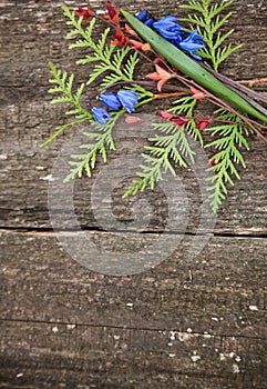 Background of old wooden planks and spring    bouquet