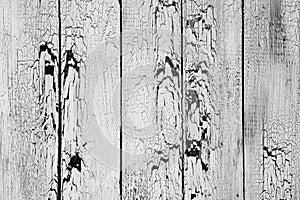 Background of old worn boards white