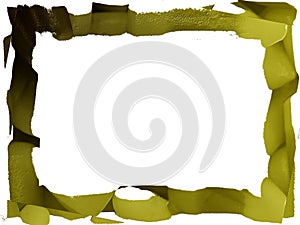 Background Olive Texture