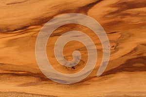 Background olive wood. Vintage wooden texture close up.
