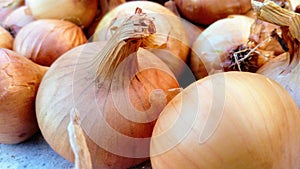 Background of onion
