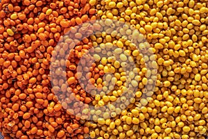 Background of orange and yellow sea buckthorn berries, top view, Flat Lay