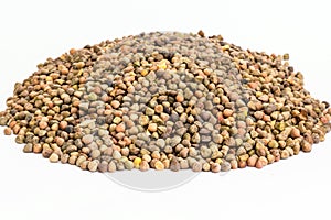 Background of organic dried hemp seeds