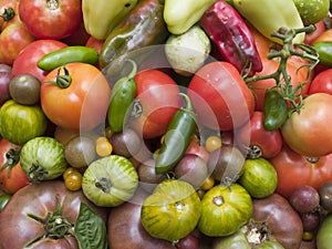 Background - organic vegetables
