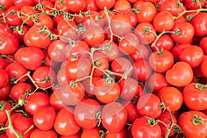 Background of organics tomatoes at farmers market