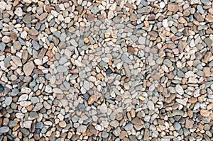 Background made of multicolored pebbles photo