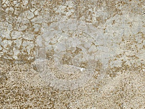 Background of painted grunge concrete wall texture