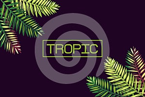Background with palm leaves and the word `tropic`. Lettering. Tropics. Border. Exotics.