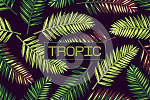 Background with palm leaves and the word `tropic`. Lettering Tropics Border Exotics.