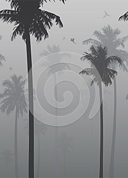 Background with palms and flying parrots