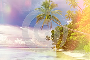 Background of Paradise island - landscape of tropical beach - calm ocean, palm trees, blue sky