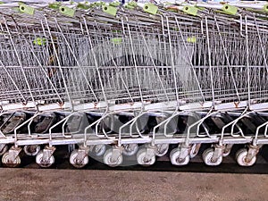 Background of Parked Shopping Carts at Supermarket