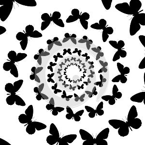 Background, pattern, black and white spiral pattern. Round centered Halftone illustration. Butterfly, rotation, rotation photo