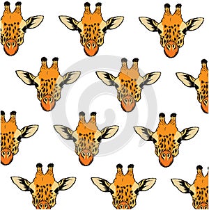 Background pattern with colorful hand drawn giraffe