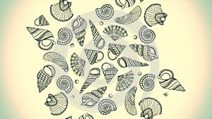 Background pattern created by sea shells and starfish. Background of Seashell collection isolated on white background