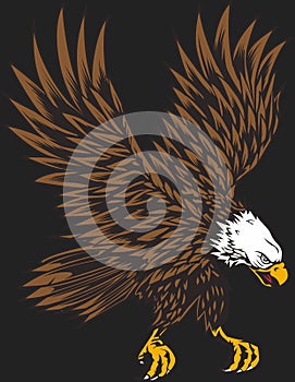 angry falcon icon vector illustration photo