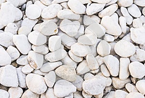 Background pattern texture of white pepple stones