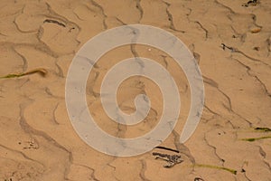 Background patterns on the sand under the water in the river