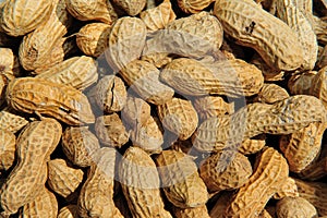 Background peanut