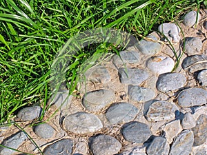 Background of pebble and grass