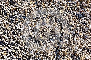 Background of pebble stones on the shore