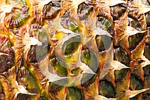 peel of pineapple close up