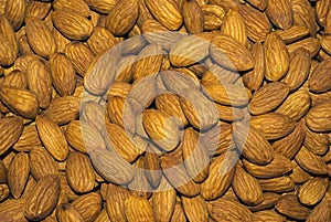 Background - peeled almond kernels