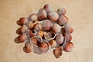 Background of peeled hazelnut kernels and shells and whole nuts