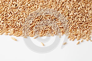 Background of peeled oat grains on white