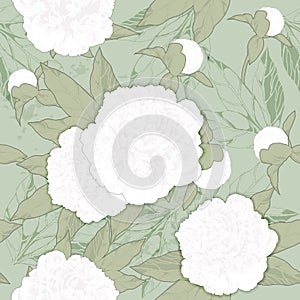 Background peony