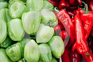 Background from a peppers. heap of red hot chilli and green peppers close up. beautiful shiny. texture of heap of peppers,