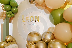 Background for a photo in an apartment with the name leon