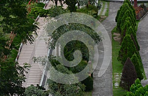 background photo of street trees in park