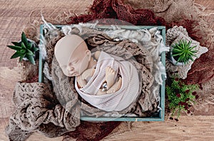 Background for photosession with newborn manequen