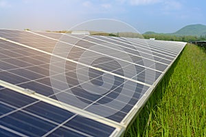 Background of Photovoltaic Cell Farm or Solar Panels Field, eco friendly and clean energy